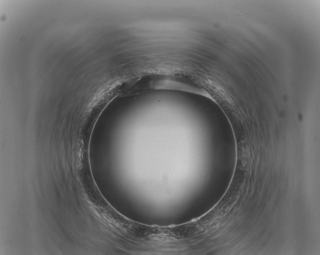 X0000064770544200602171827