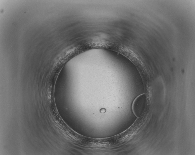 X0000064770545200602171827