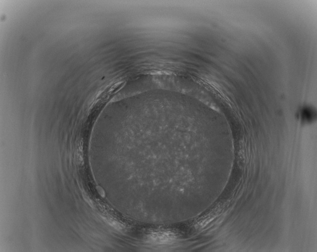 X0000064770547200602171827