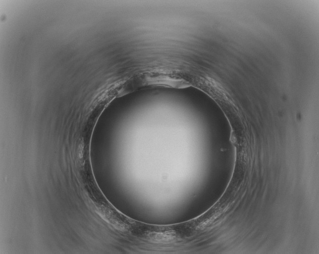 X0000064770548200602171827