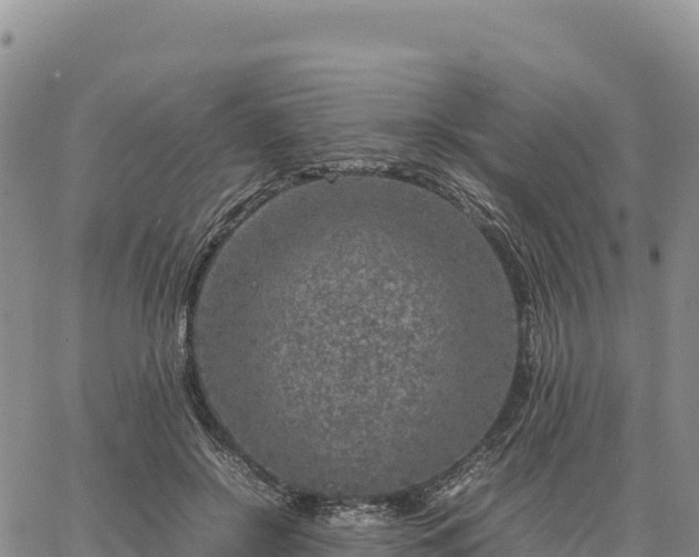 X0000064770550200602171827