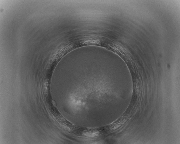 X0000064770551200602171827