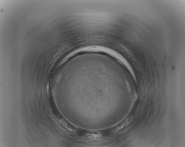 X0000064770552200602171827