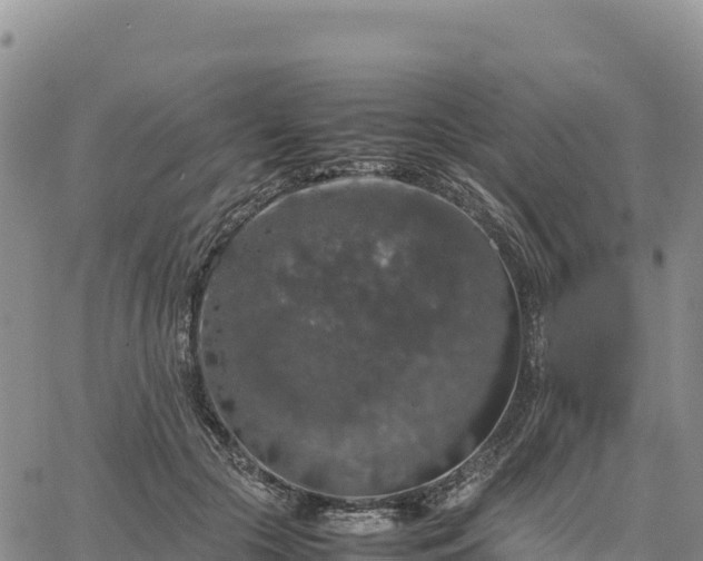 X0000064770553200602171827