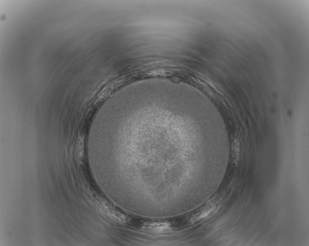 X0000064770554200602171827