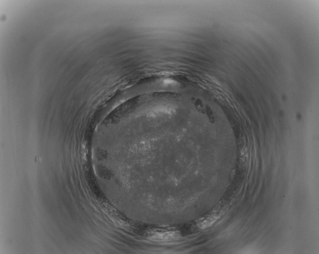 X0000064770555200602171827