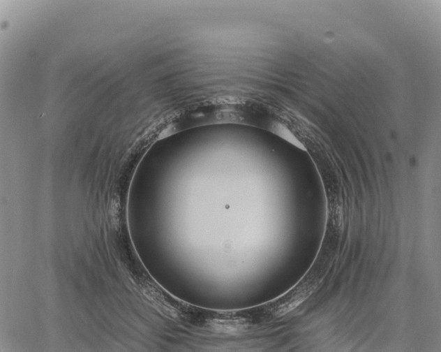 X0000064770556200602171827