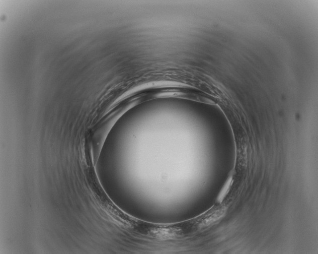 X0000064770558200602171827