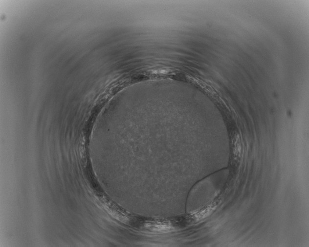 X0000064770559200602171827