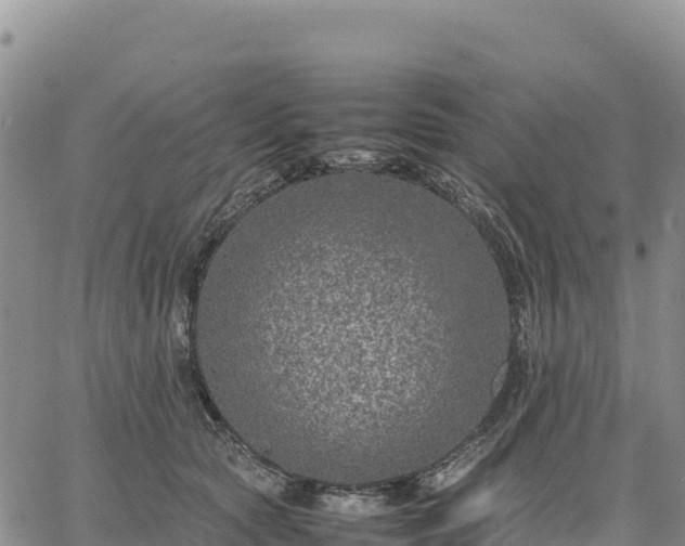 X0000064770561200602171827