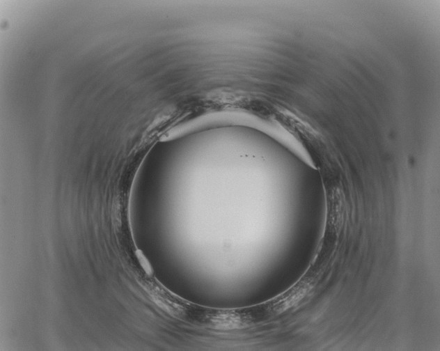 X0000064770562200602171827