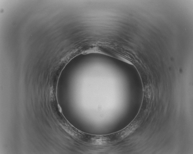 X0000064770564200602171827