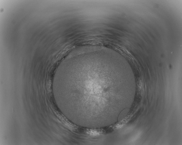 X0000064770565200602171827