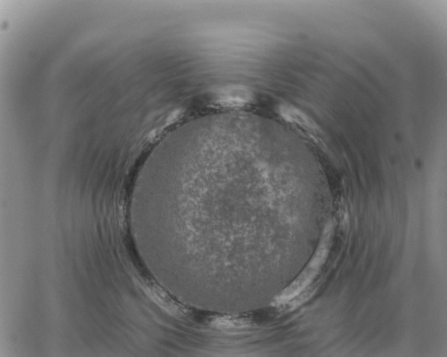 X0000064770568200602171827