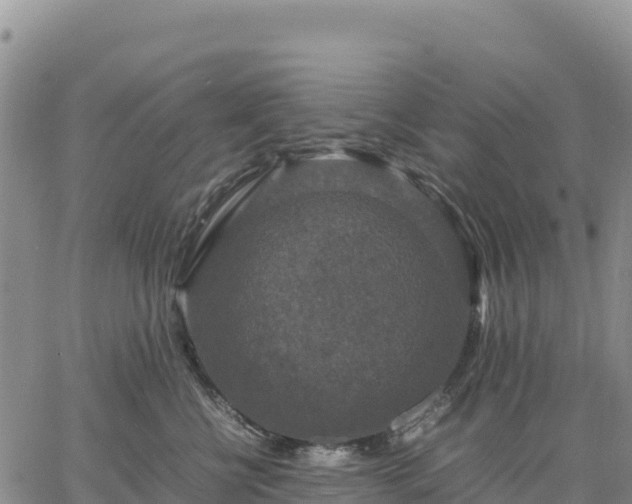 X0000064770570200602171828