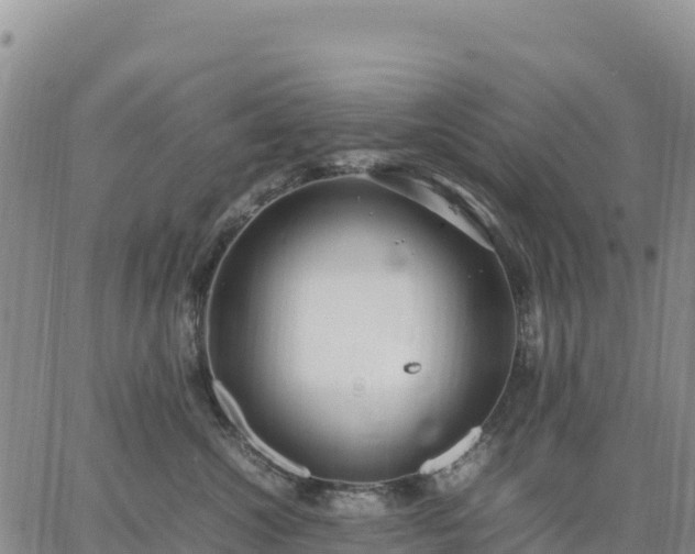 X0000064770572200602171828