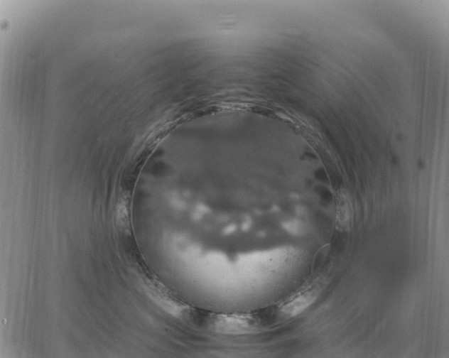 X0000064770573200602171828