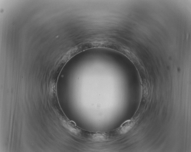 X0000064770574200602171828