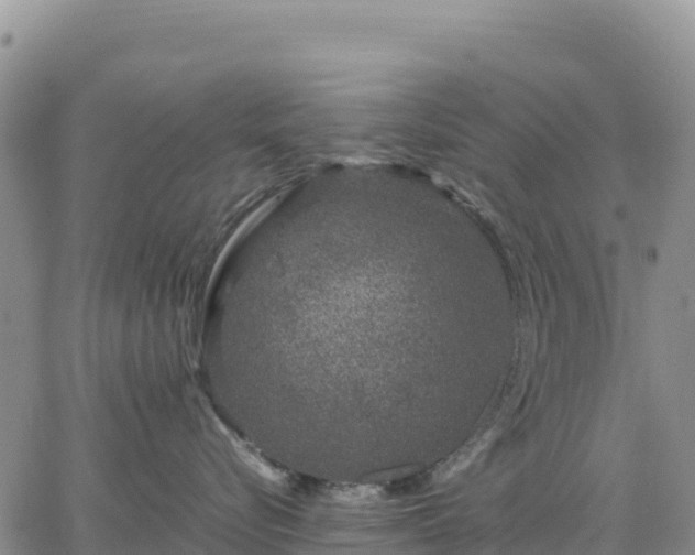 X0000064770576200602171828