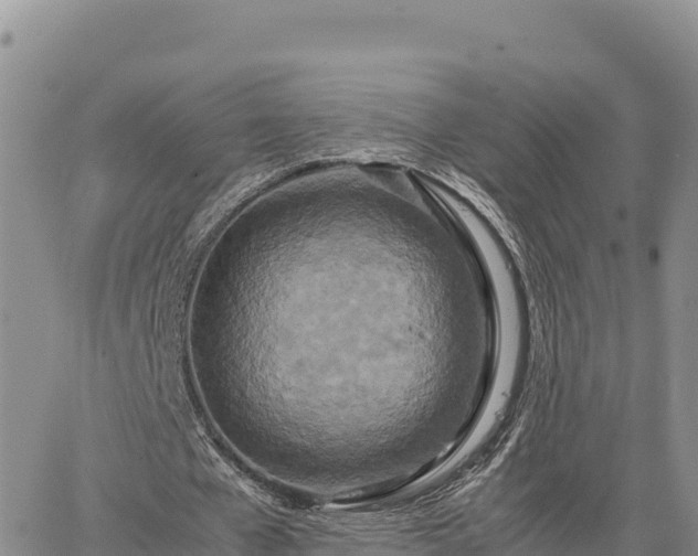 X0000064770577200602171827