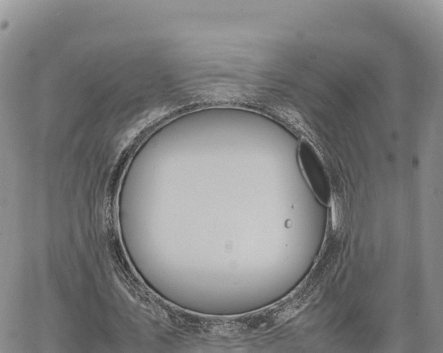 X0000064770579200602171827