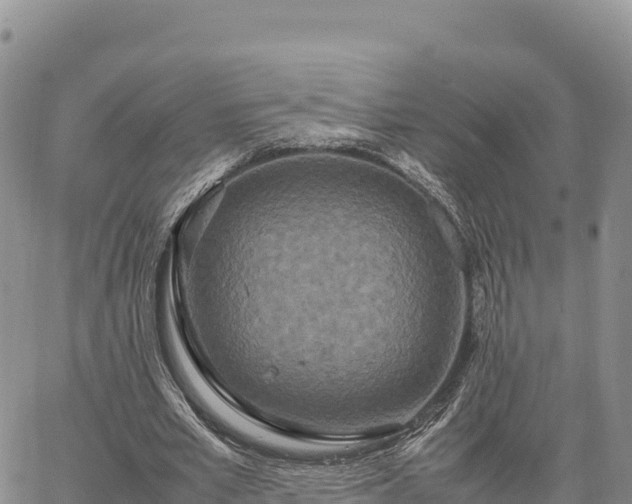 X0000064770581200602171827