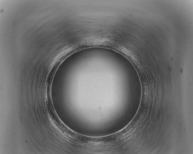 X0000064770582200602171827