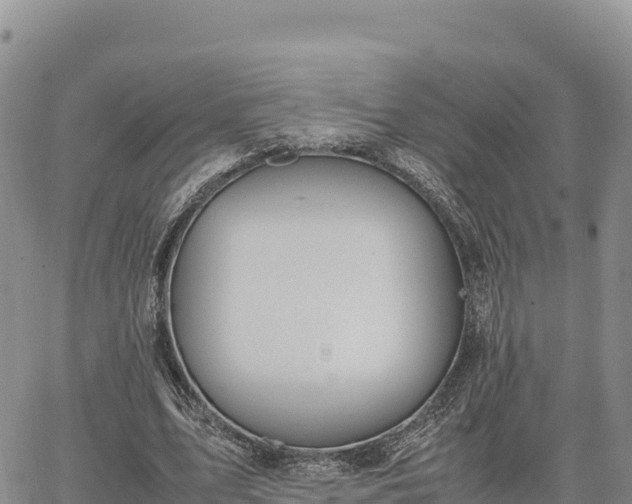 X0000064770583200602171827