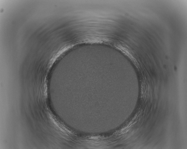 X0000064770584200602171827