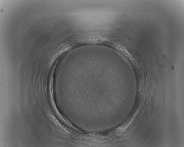 X0000064770585200602171827