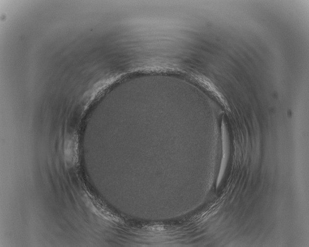 X0000064770588200602171827