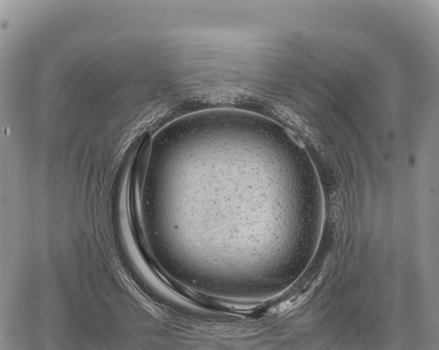 X0000064770589200602171827