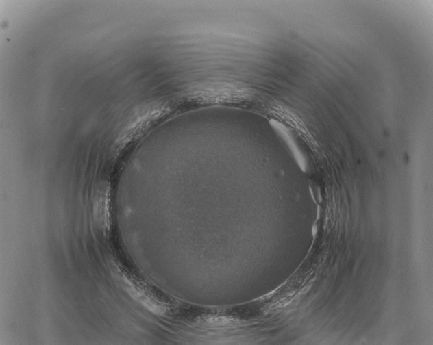 X0000064770590200602171827