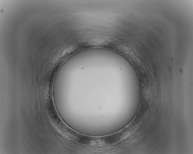 X0000064770591200602171827