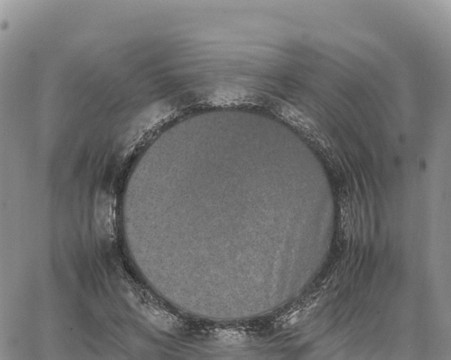 X0000064770592200602171827