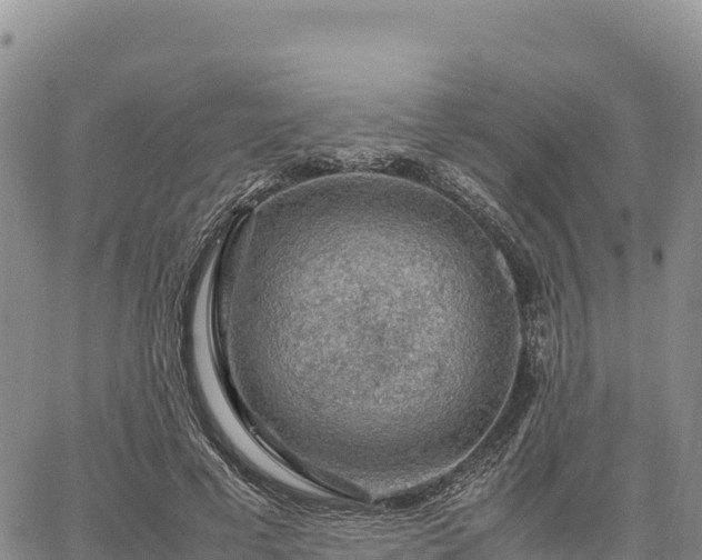 X0000064770593200602171827