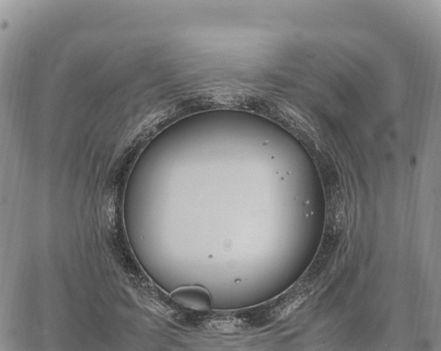 X0000064770595200602171827