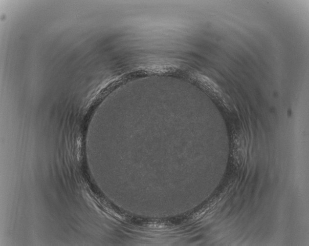 X0000064770596200602171826