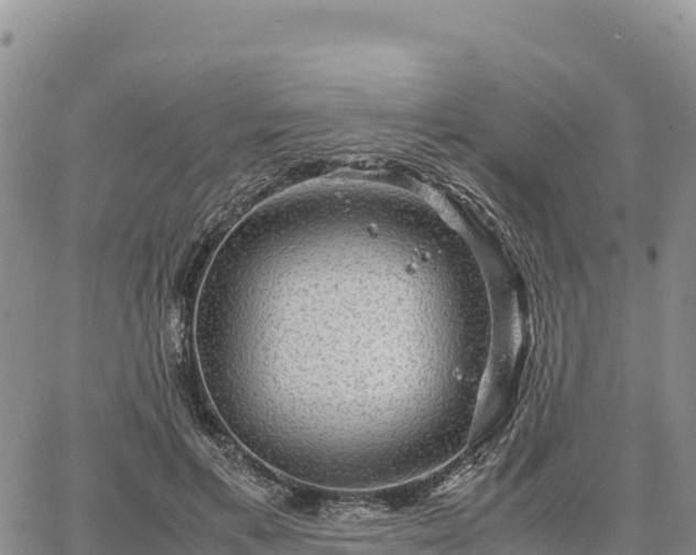 X0000064770597200602171826