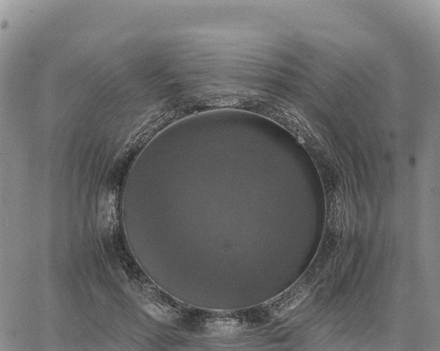 X0000064770598200602171826