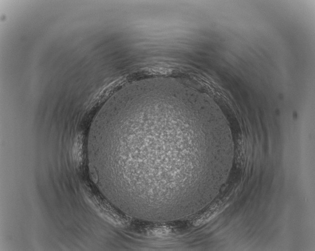 X0000064770600200602171826