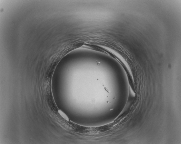 X0000064770601200602171826