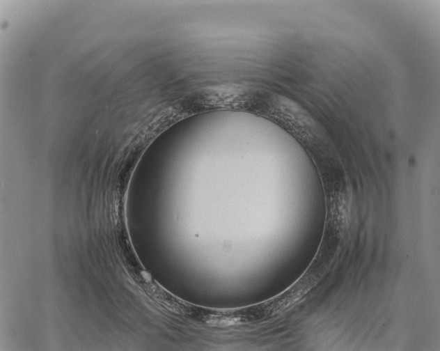 X0000064770602200602171826