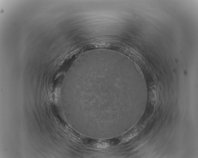 X0000064770604200602171826