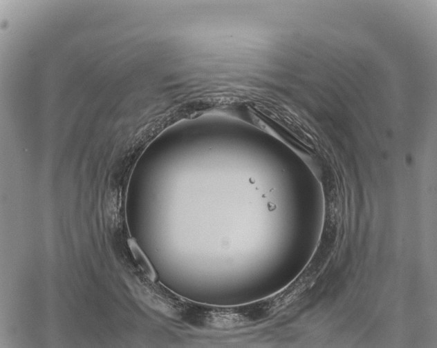 X0000064770605200602171826