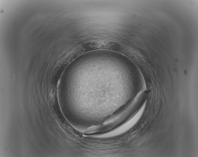 X0000064770607200602171826