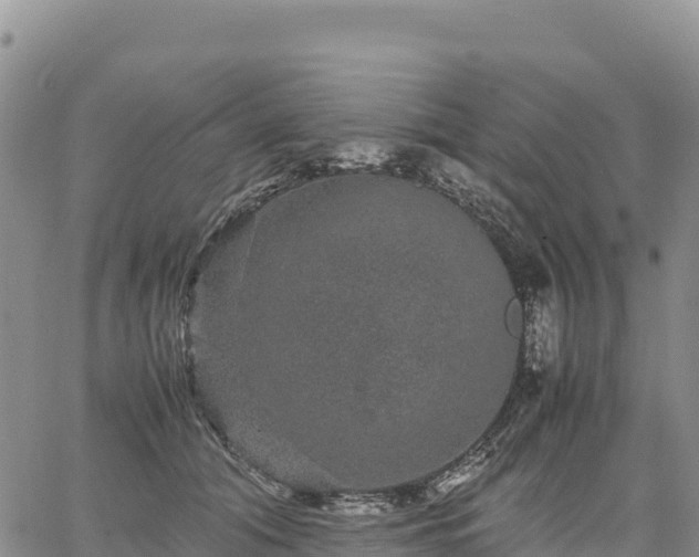 X0000064770608200602171826