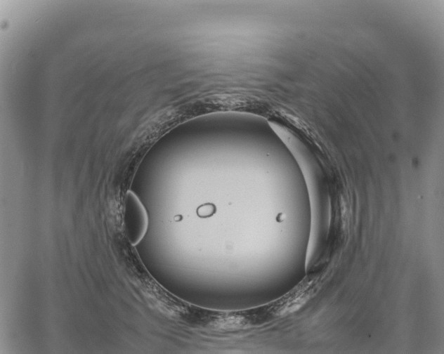 X0000064770609200602171826