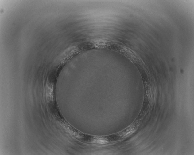 X0000064770610200602171826