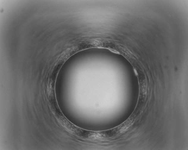 X0000064770611200602171826